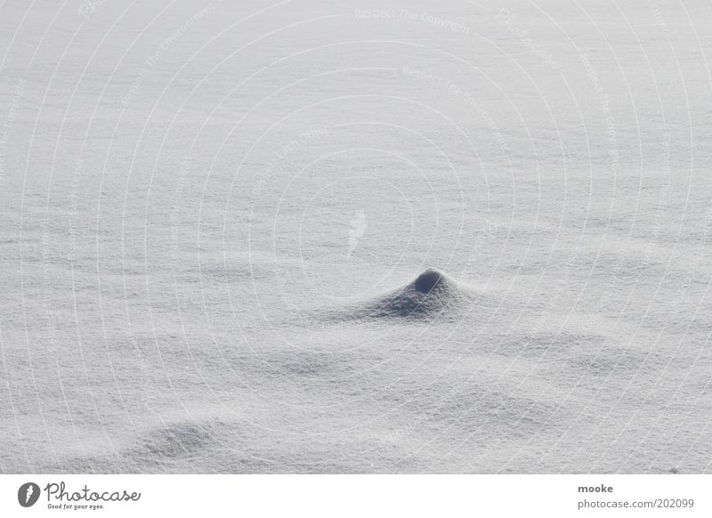 ice desert Far-off places Freedom Expedition Winter Snow Environment Nature Landscape Climate Climate change Ice Frost Hill Peak Discover Simple Infinity Gloomy