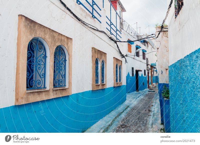 Little blue wonder Fishing village Small Town Port City Downtown House (Residential Structure) Window Vacation & Travel Living or residing Shutter Metal grid