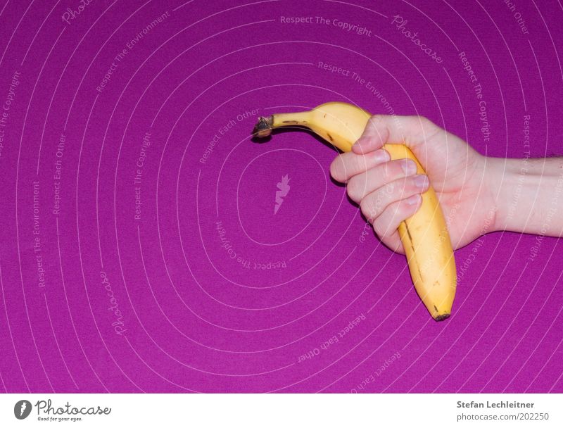 Banana, huh? Fruit Style Design Authentic Fresh Good Delicious Appetite Colour To enjoy Quality Violet Fist Colour photo Interior shot Copy Space left