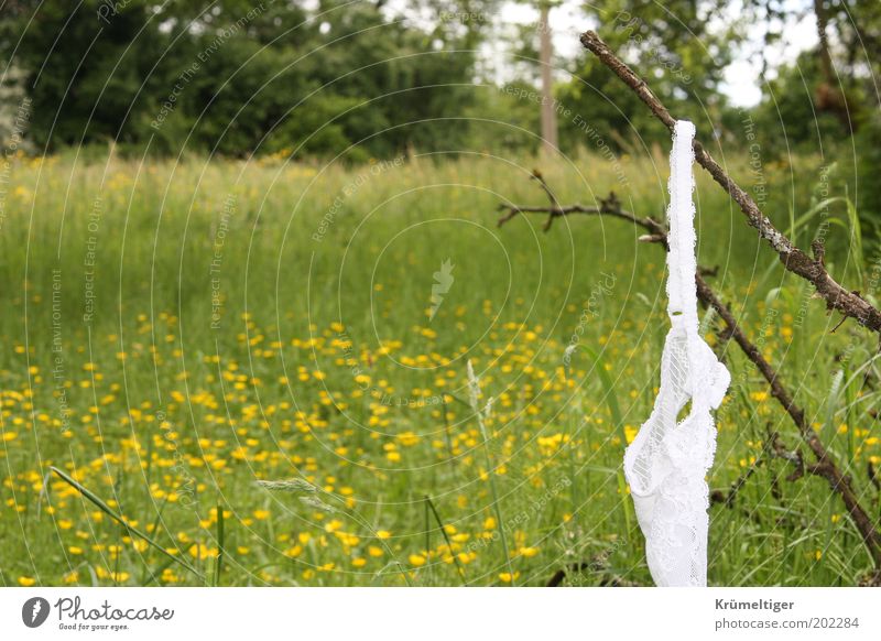 love play Environment Nature Landscape Plant Spring Tree Flower Grass Garden Meadow Underwear Cloth Hang Yellow Green White Emotions Spring fever Anticipation