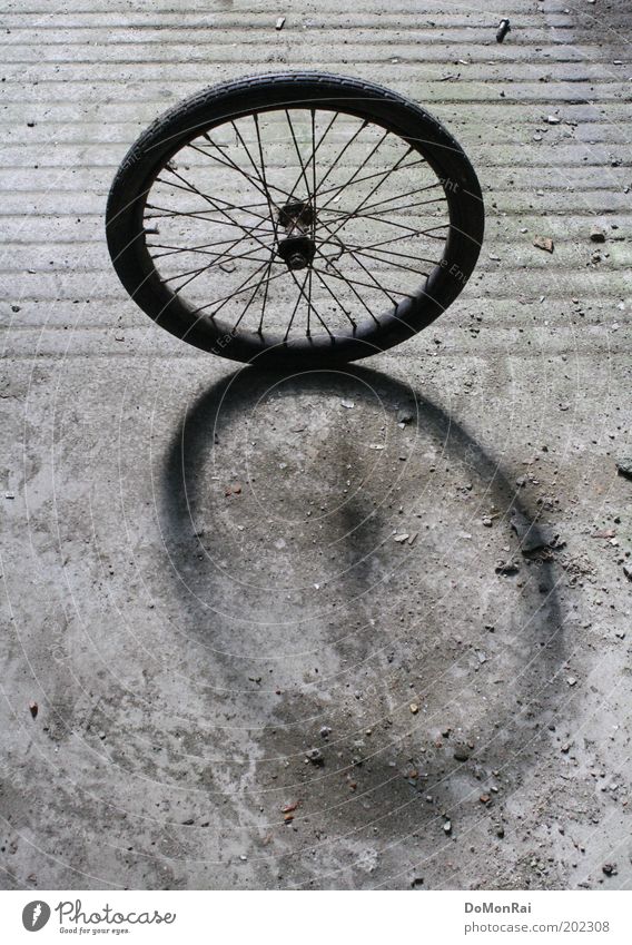 wheelbase cycling Bicycle Line Stripe Rotate Stand Round Gray Black Movement Hope Ease Stagnating Wheel Spokes Hub Circle Oval Shadow Concrete floor Roll