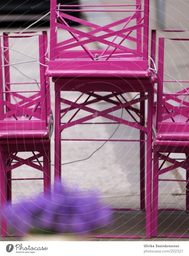 Purple flowers in front of pink garden furniture Table Restaurant Gastronomy Flower Street Violet Pink Break Beer table Bench Chained up Vase Flowerpot Closed