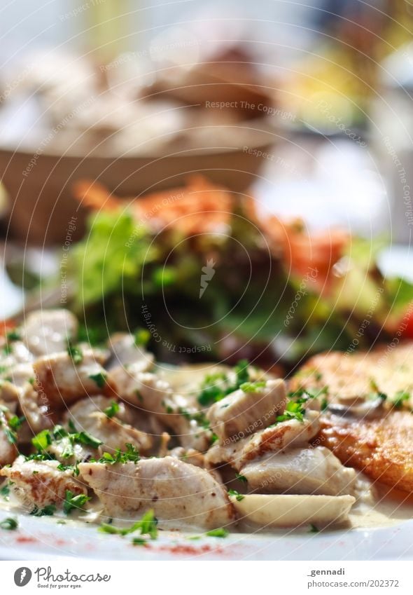 eat food Food Meat Lettuce Salad Grain Nutrition Lunch Crockery Plate Bowl To enjoy Hot Delicious Tourism Herbs and spices Dish Colour photo Exterior shot