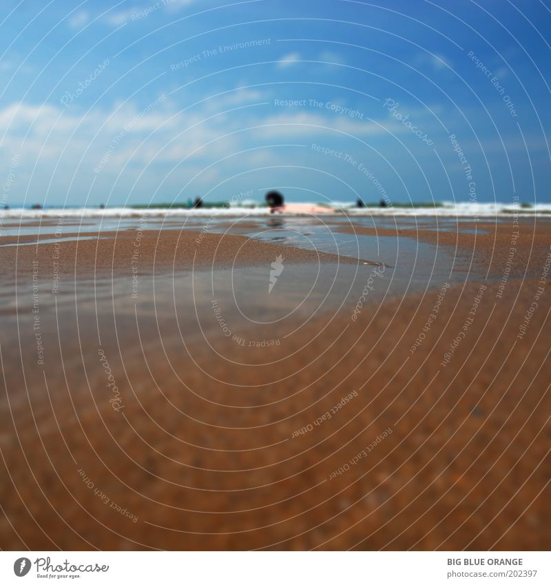 towards the waves Summer Beach Waves surfing Nature Landscape Sand Water Sky Clouds Happy Natural Wild Blue Brown Happiness Optimism Power Willpower Authentic