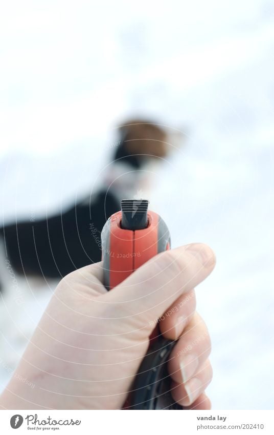 walk Hand Fingers Animal Pet Dog 1 Leisure and hobbies Captured Rope Dog collar Freedom Beagle Colour photo Subdued colour Exterior shot Deserted Copy Space top