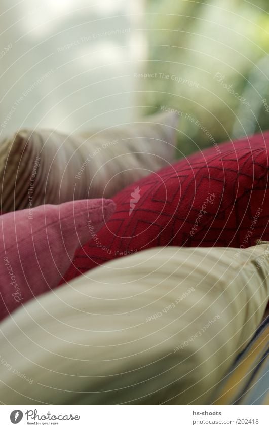 cushions Luxury Sofa Armchair Esthetic Multicoloured Gray Red Living or residing Cushion Colour photo Close-up Deserted Copy Space top Day Blur