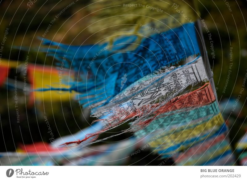 worn tibetan flags in the wind Wind Flag Blue Multicoloured Yellow Red White Power Compassion Wisdom Colour photo Close-up Detail Abstract Day Sunlight