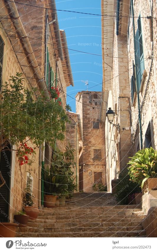 Lane in Fornalutx Spain Europe Village Old town Deserted House (Residential Structure) Wall (barrier) Wall (building) Stairs Facade Alley Spring fever