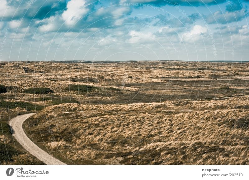 The road to nothingness aka the way to happiness Landscape Earth Sky Clouds Climate change Grass marram grass Coast North Sea Steppe Street Lanes & trails