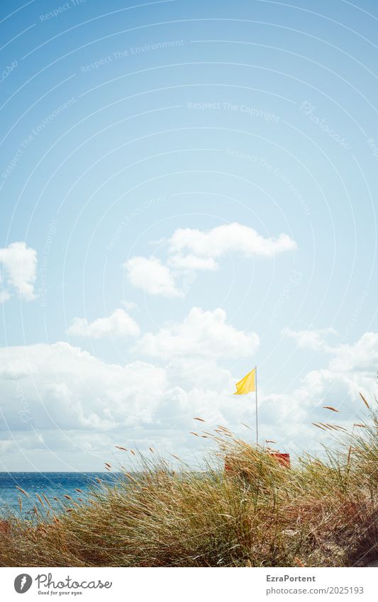 ` Wellness Relaxation Vacation & Travel Tourism Trip Summer Sun Beach Ocean Environment Nature Landscape Sky Clouds Weather Beautiful weather Grass Baltic Sea