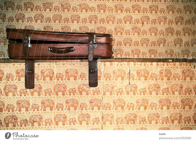 suitcases Living or residing Wallpaper Leather Suitcase Collector's item Old Retro Brown Nostalgia Past Wall (building) Elephant Grasp Change of scene