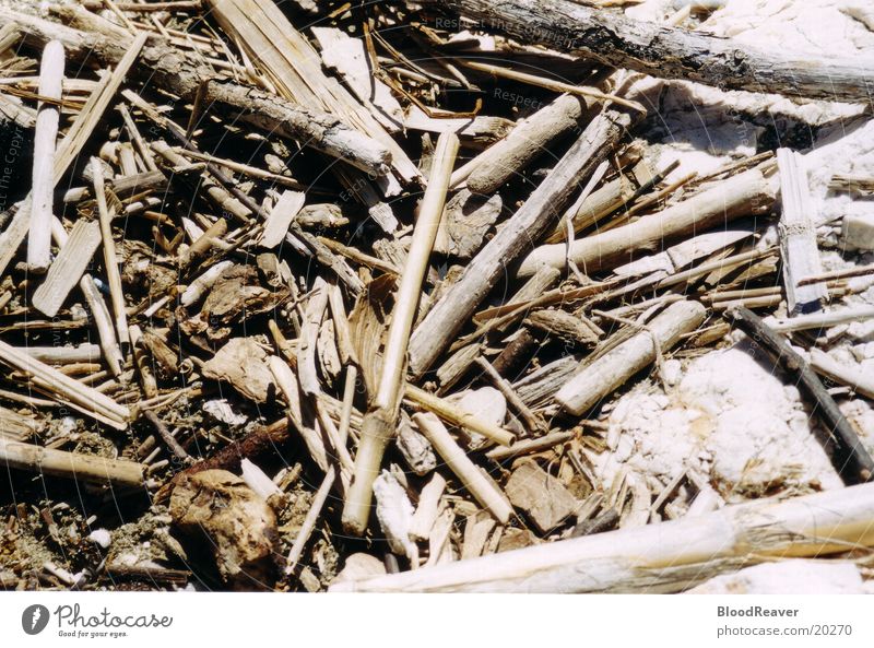 flotsam Flotsam and jetsam Wood Structures and shapes Beach Ocean Close-up Coast washed up liquid