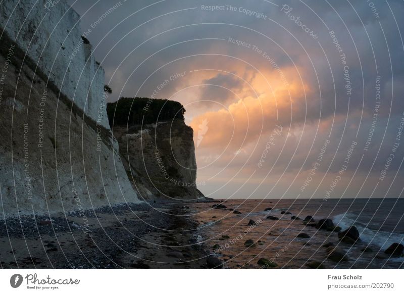 Ring of Fire Water Clouds Coast Beach Ocean Dark Free Power Nature Stone chalk coast Mon Denmark Cloud formation Deserted Evening Twilight Light Limestone rock