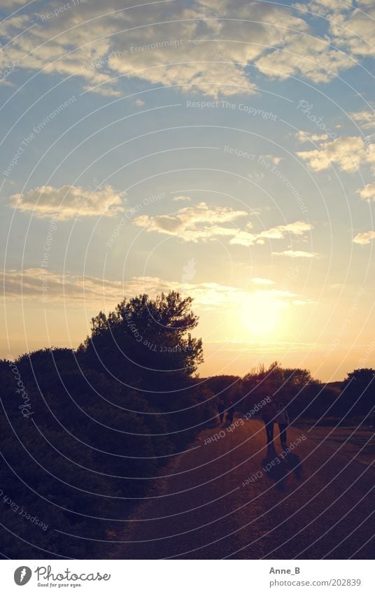 Walking on sunshine Harmonious Relaxation Calm Vacation & Travel Summer Sun Human being Couple Partner 4 Nature Sky Clouds Beautiful weather Tree Bushes