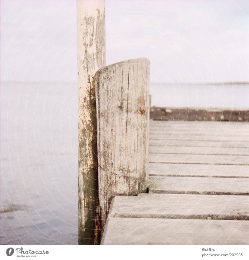 Calm sea Water Sky Winter Coast Beach North Sea Footbridge Old Dirty Gray Loneliness Horizon Lanes & trails Far-off places Wood Wooden board Exterior shot