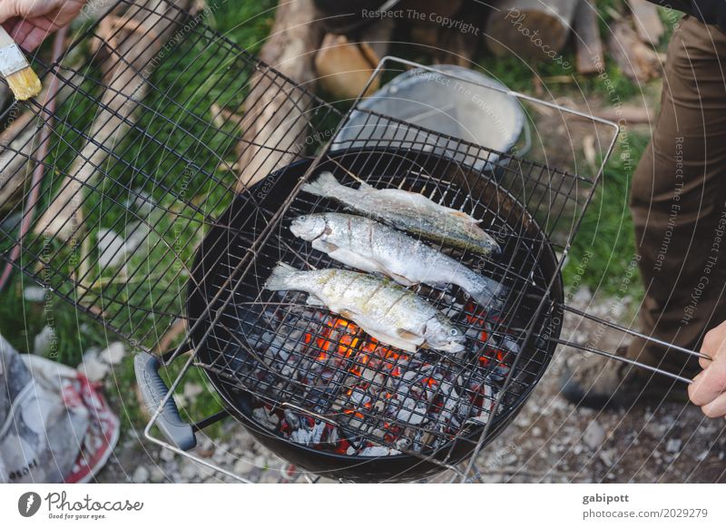 Barbecuing fish is better than barbecuing fishing Lifestyle Healthy Eating Leisure and hobbies Summer Living or residing Flat (apartment) Garden