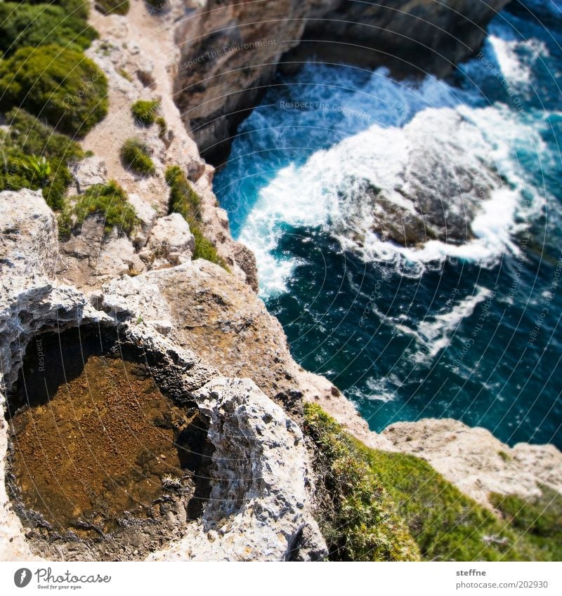 cliff diver Nature Landscape Water Waves Coast Bay Majorca Tall Threat Brave Rock Cliff Colour photo Exterior shot Shallow depth of field Bird's-eye view Ocean