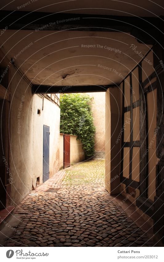 Dead end? Village Town Old town Deserted Wall (barrier) Wall (building) Bright Corridor Courtyard Empty Ambiguous Passage Courtyard entrance