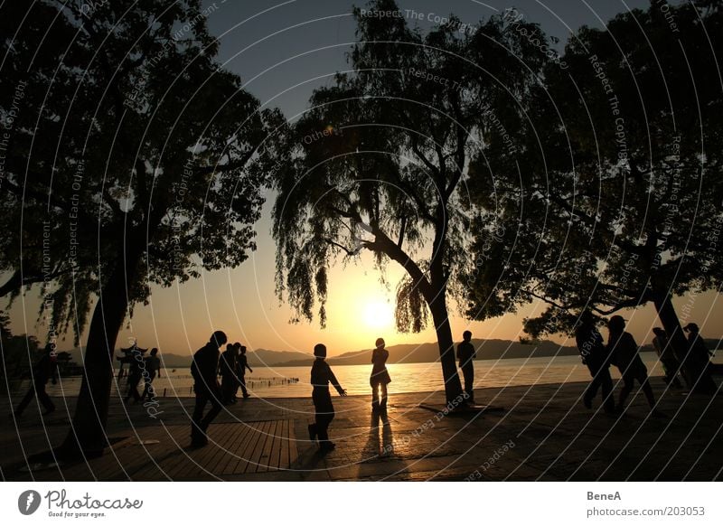 strolling Joy Well-being Leisure and hobbies Vacation & Travel Tourism Trip Summer Sun Human being Group Plant Cloudless sky Sunrise Sunset Sunlight