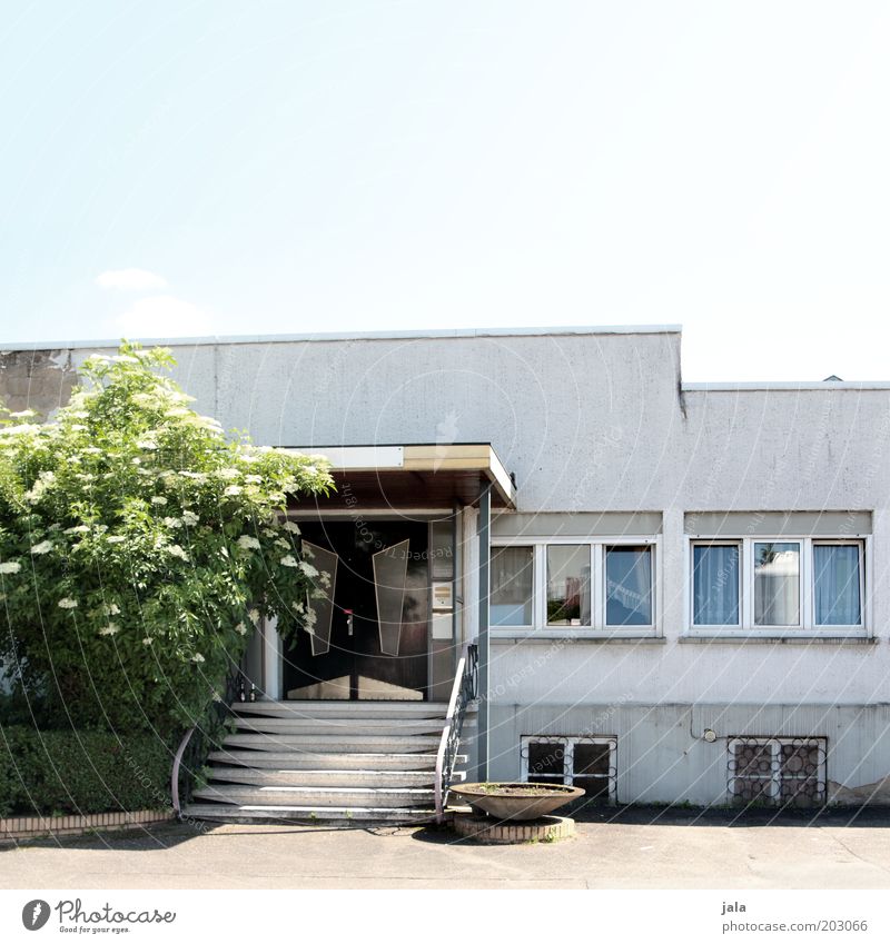 locally Sky Plant Tree House (Residential Structure) Building Architecture Stairs Window Door Gloomy Colour photo Exterior shot Deserted Copy Space top Day Old