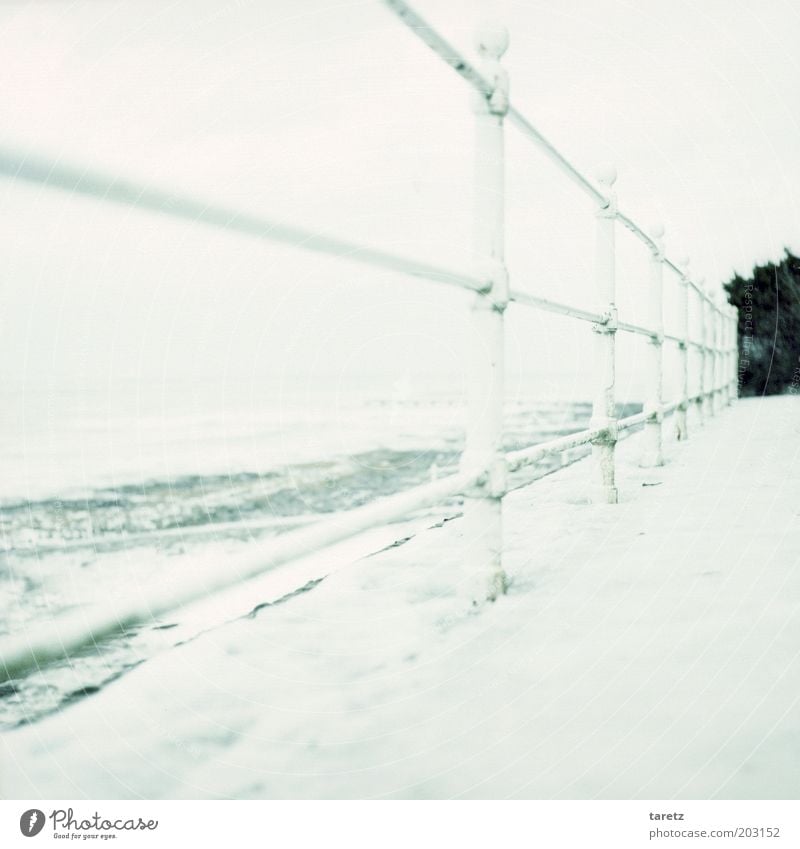 frozen Landscape Climate change Ice Frost Snow Waves Coast Ocean North Sea Danga Handrail Promenade Bright Cold Lanes & trails Beach Frozen Winter Wind Barrier