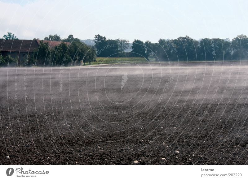 morning mist Environment Nature Earth Sky Field Brown Colour photo Exterior shot Copy Space top Morning Shallow depth of field Panorama (View) Ground fog Haze