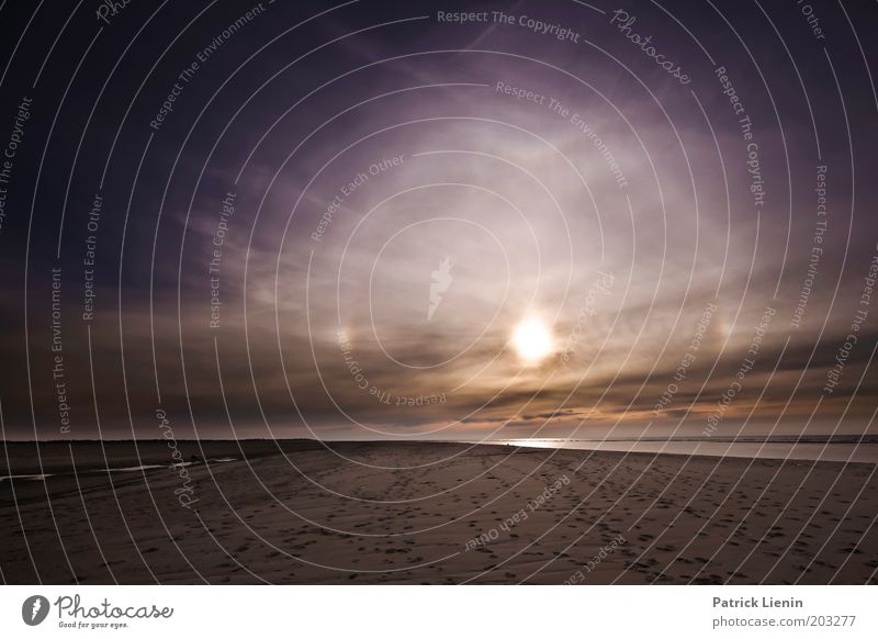 halo Environment Nature Landscape Beach Coast Ocean Footprint Sunset Spiekeroog Island Sand Clouds Clouds in the sky Halo Sunlight Sky Walking Relaxation