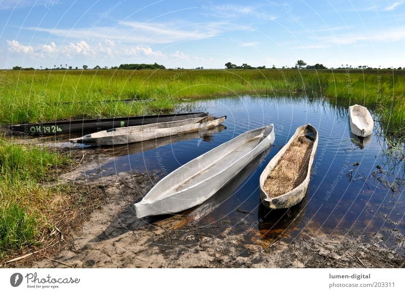 silent Far-off places Beautiful weather River bank Romance Wanderlust Exotic Freedom Africa Namibia Okavango Watercraft mokoro Botswana Colour photo