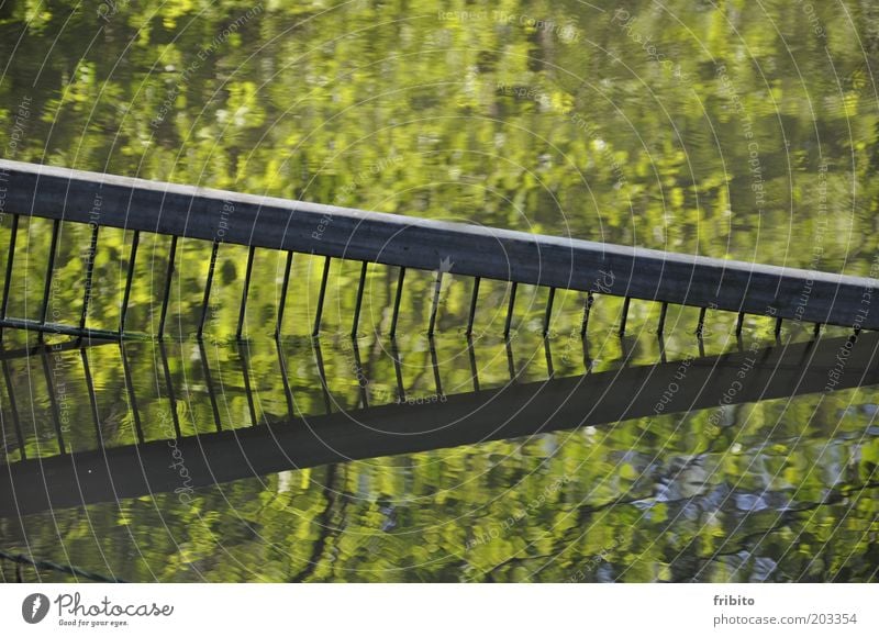 mirroring Environment Nature Landscape Elements Water Sunlight Pond Lake Beautiful Uniqueness Wet Natural Gray Green Mysterious Colour photo Exterior shot