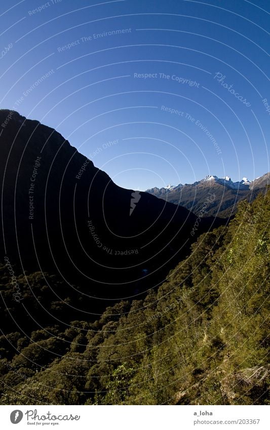 lord of the sandflies Landscape Elements Cloudless sky Beautiful weather Tree Fern Mountain Snowcapped peak Canyon Tall Longing Wanderlust Loneliness Esthetic