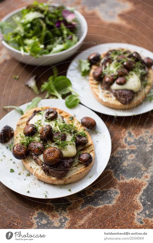 Steak sandwich with Taleggio and mushrooms Meat Dairy Products Lettuce Salad Bread Herbs and spices Nutrition Lunch Dinner Eating Fresh Brown Green Colour photo