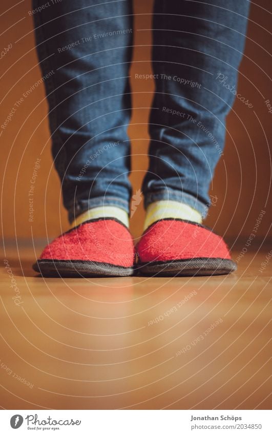 A view of red felt slippers V Legs Jeans Ground CMYK Detail Felt Floor covering Feet Colour tone Guest Slippers Laminate Shuffle Footwear Stockings Blue Brown