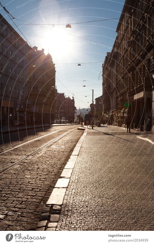 OLD TOWN OF PRAGUE Prague Vacation & Travel Travel photography Street Back-light Sidewalk Cobblestones Czech Republic Town Europe City trip Card Sunbeam