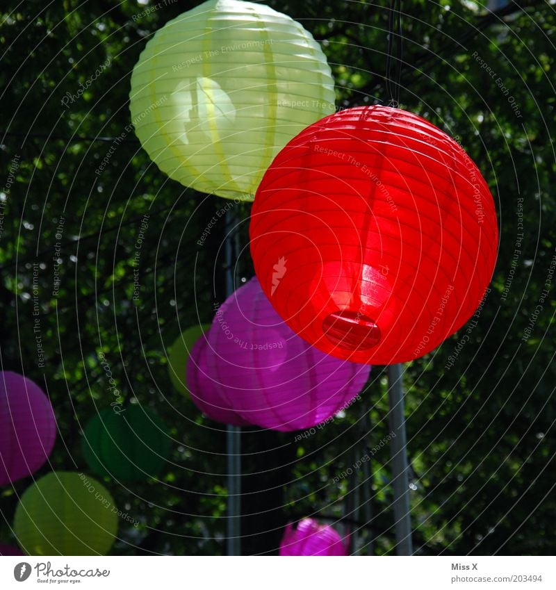 Jubilee Gardens Party Feasts & Celebrations Summer Tree Hang Multicoloured Colour Lamp Red Yellow Pink Decoration Lampion Colour photo Exterior shot Deserted