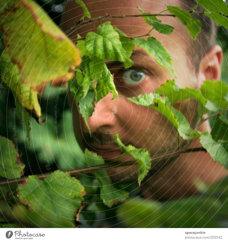 IN THE WOODS Masculine Young man Youth (Young adults) Face Eyes 1 Human being 30 - 45 years Adults Nature Plant Bushes Leaf Curiosity Fear Hide Hiding place