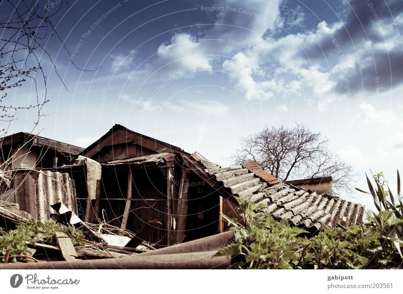 collapse Living or residing Redecorate Garden allotments Garden plot Gardenhouse Roof Cardboard Corrugated sheet iron Corrugated-iron hut Corrugated iron wall