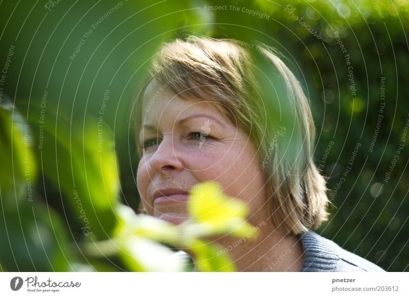 Where's the apple? Garden Human being Woman Adults Head Hair and hairstyles Face 1 30 - 45 years Nature Spring Summer Climate Beautiful weather Tree Leaf Blonde