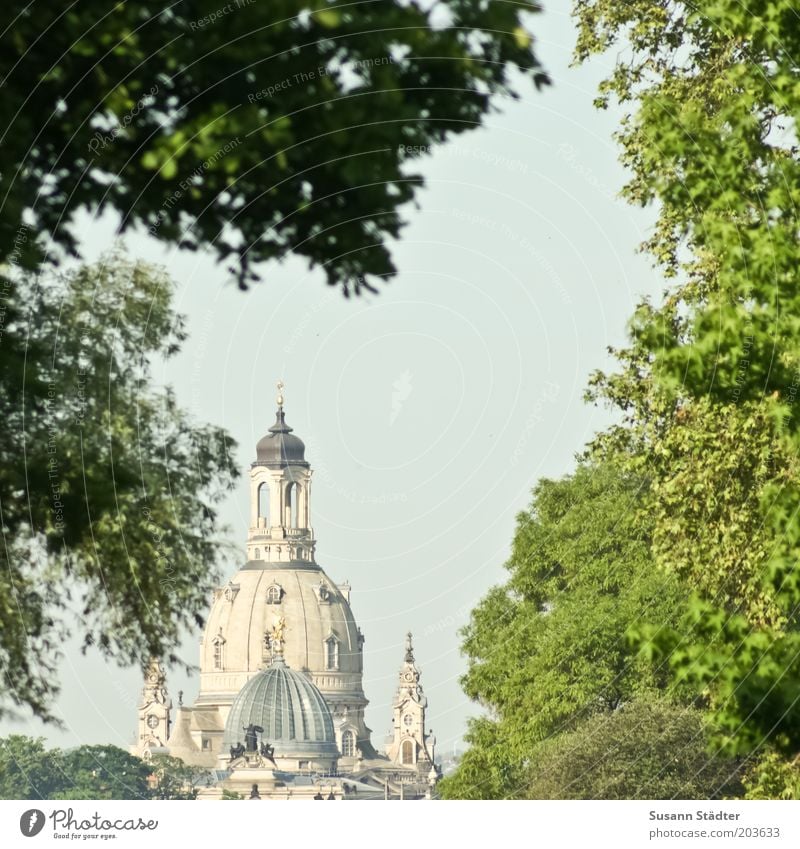 Lemon squeezer in front of Frauenkirche Vacation & Travel Sightseeing City trip Summer Old town Church Dome Roof Illuminate Deciduous tree Tourist Attraction