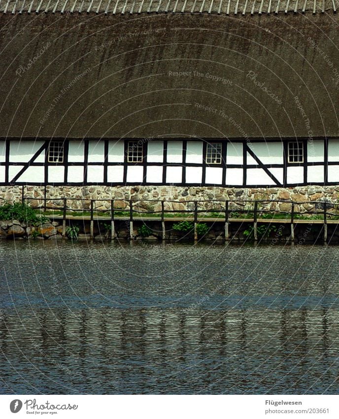 The house at the lake Summer Bog Marsh Pond Lake River Water Protection Leisure and hobbies Footbridge Common Reed Half-timbered facade Half-timbered house