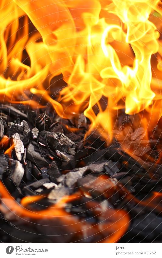 hot Hot Fire Barbecue (apparatus) Charcoal (cooking) BBQ season Flame Colour photo Close-up Deserted Shallow depth of field Exterior shot