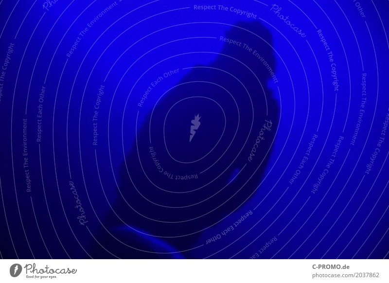 In the blue darkess Human being 1 Stand Dark Blue Loneliness Fear Flare Colour photo Copy Space left Copy Space right Twilight Night Artificial light Silhouette