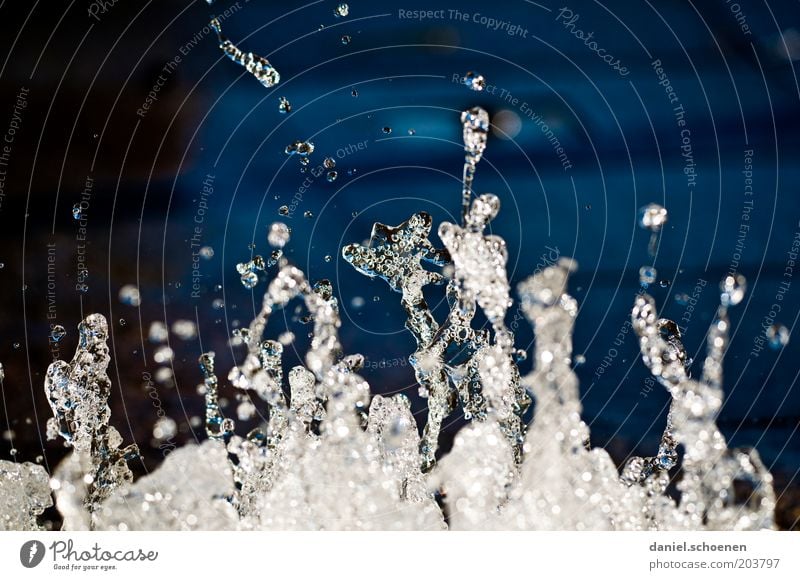 Put on your swimming trunks, and then inside ... Water Drops of water Fresh Cold Wet Clean Blue Close-up Detail Macro (Extreme close-up) Contrast