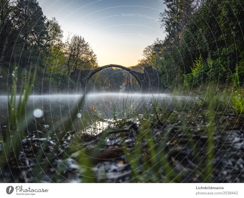 Rakotzbrücke 3 Trip Sightseeing Expedition Culture Nature Landscape Sunrise Sunset Fog Park Forest Lakeside Bog Marsh Pond Rhododendron Park Rakotz Sea Kromlau