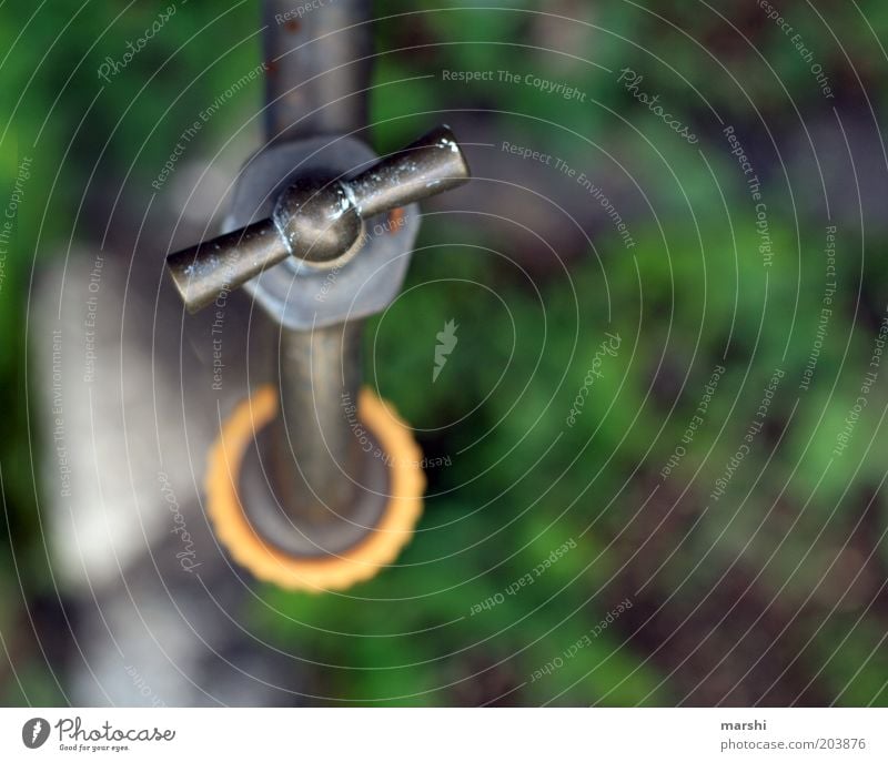 Water march. Spring Summer Garden Green Tap Turn up Closed Refreshment Colour photo Exterior shot Deserted Blur Bird's-eye view