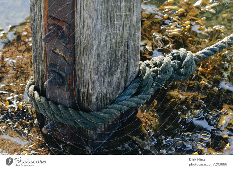 The saving stake Ocean Nature Coast Bay Fjord North Sea Baltic Sea Port City Deserted Harbour Navigation Boating trip Rope Wood Metal Water Firm Brown