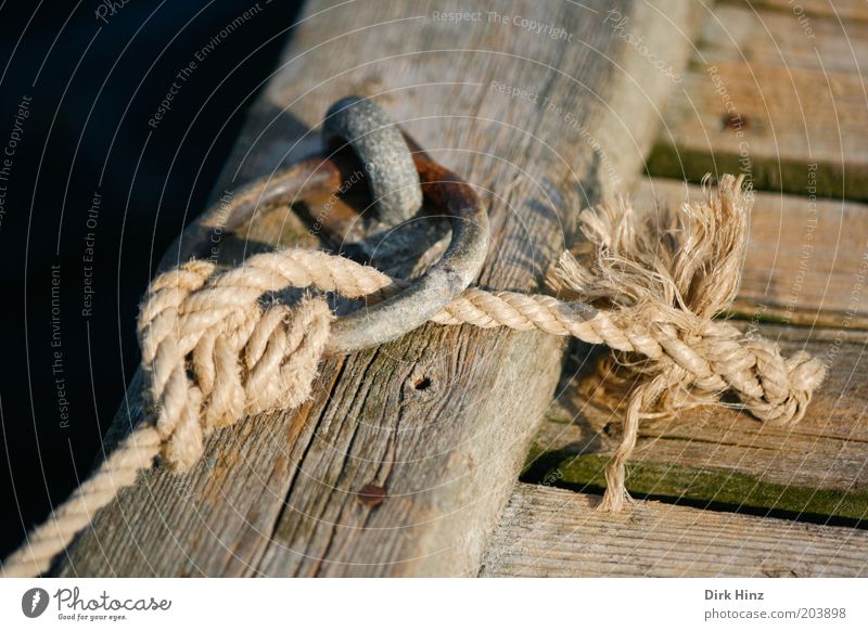 Now we're stuck! Rope Navigation Harbour Hang Firm Brown Trust Safety Responsibility Mistrust Advice Testing & Control Rescue Wood Footbridge Circle Attach