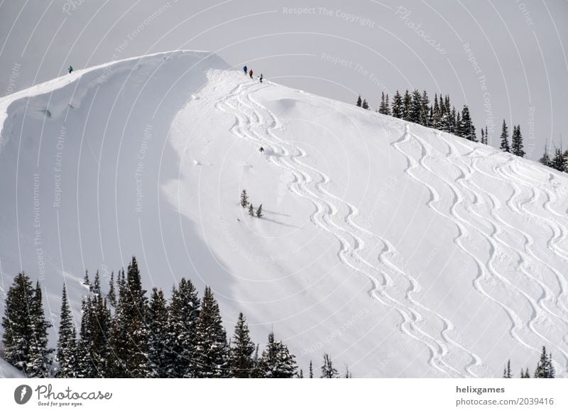 powder skiing Winter Snow Mountain Sports Skiing Snowboard Nature Landscape Alps Fresh Blue White Action Alpine backcountry cold Deep freeride Frozen lines