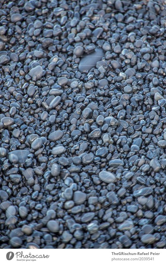 lava stones Environment Nature Black Lava Stone Round Oval Wet Many Iceland Beach Structures and shapes Colour photo Exterior shot Deserted Copy Space left