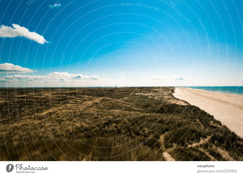 Danish vastness Landscape Sky Clouds Grass marram grass Coast North Sea Beach Sand Exceptional Infinity Blue Yellow Green Longing Wanderlust Freedom