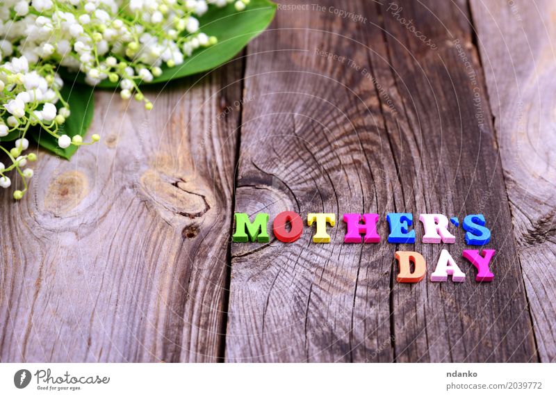 Gray wooden background Beautiful Garden Mother's Day Nature Plant Flower Bouquet Wood Blossoming Bright Small Multicoloured White Lily of the valley spring